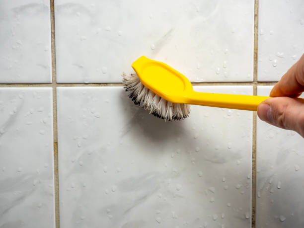 Best Mold Damage Repair  in Sutherlin, OR