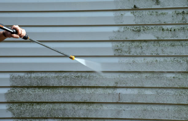 Best Mold Removal and Inspection  in Sutherlin, OR